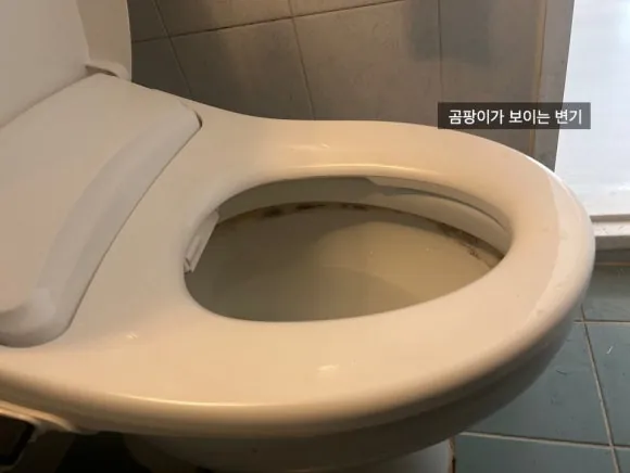 영등포구 양평동문디이스트 입주청소 놀라지 마세요 11