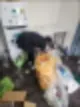 성동구입주청소 외국인도 안심하고 맡기는 이유 ft 쓰레기집청소 38