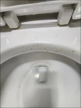 경기도 광주 입주청소, 제대로 된 업체 고르는 법