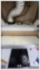 청소업체 가격 대표가 직접 공개합니다 26