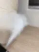 거주청소비용 볼 필요 없습니다 26
