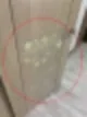 송도이사청소 선택에 후회하는 이유 29